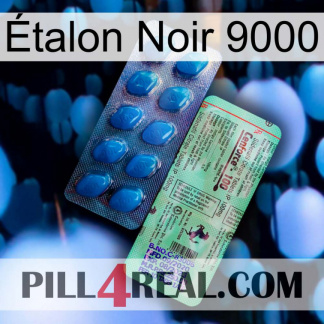 Étalon Noir 9000 new02